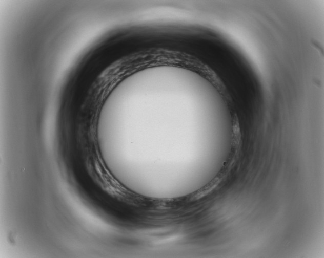 X0000096710765200802051037