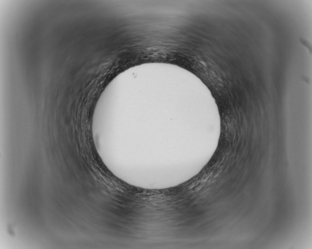 X0000096710769200802051037