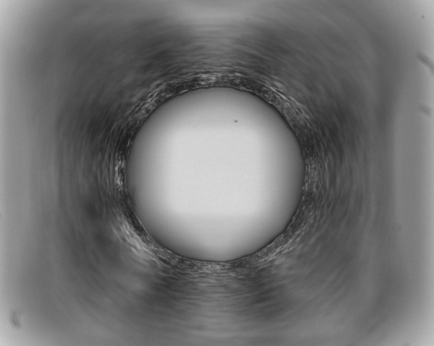 X0000096710770200802051037