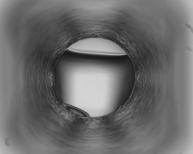 X0000096710772200802051037