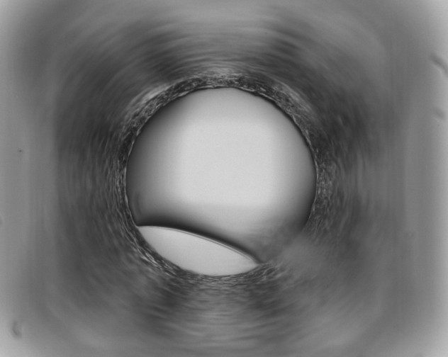 X0000096710773200802051037