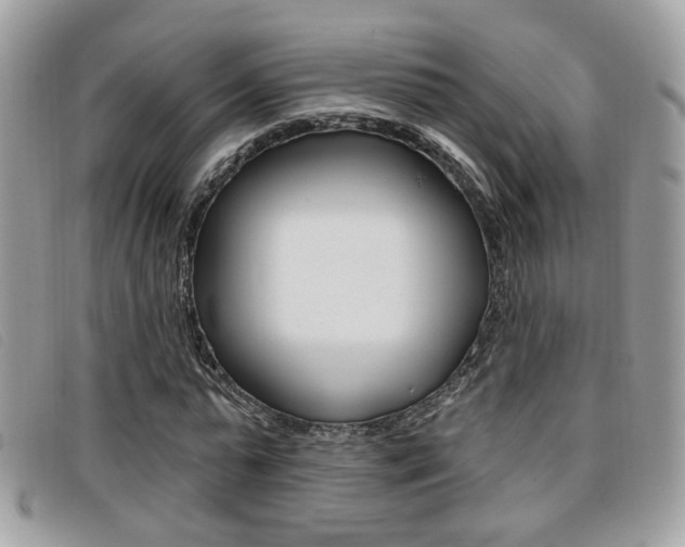 X0000096710775200802051037