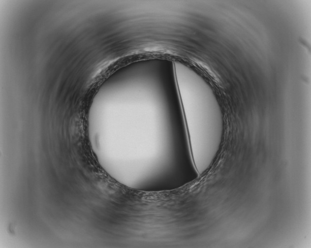 X0000096710776200802051037