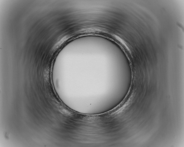 X0000096710778200802051037