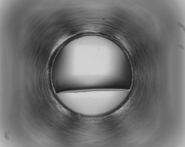 X0000096710779200802051037