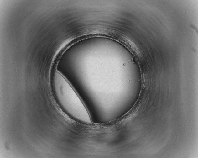 X0000096710780200802051037