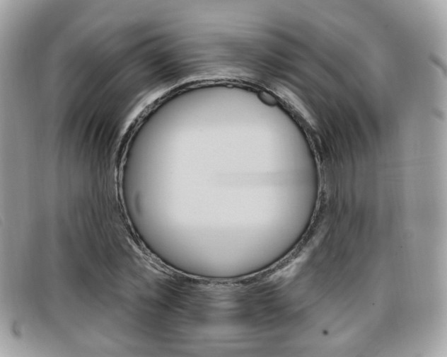 X0000096710781200802051036