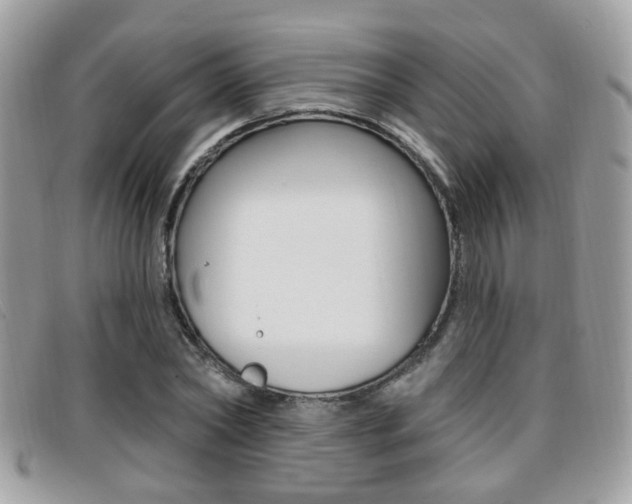 X0000096710782200802051036