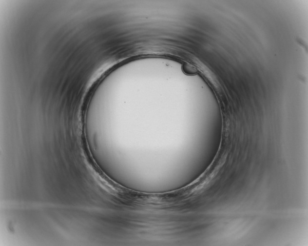 X0000096710787200802051036