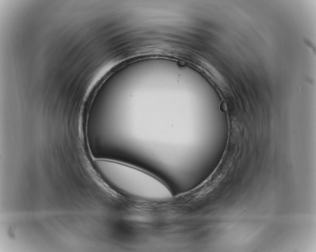 X0000096710788200802051036