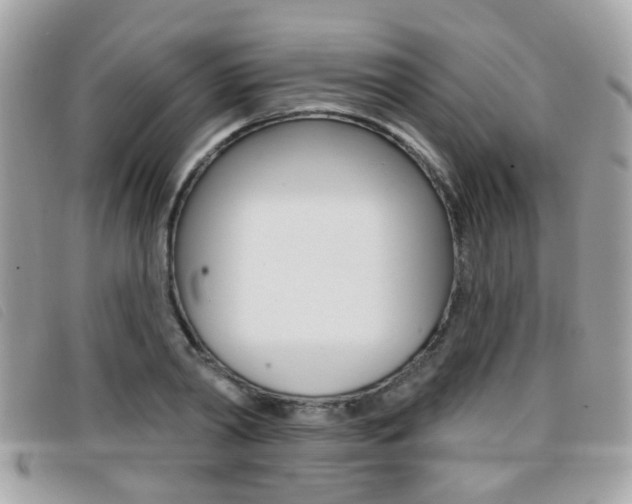 X0000096710790200802051036