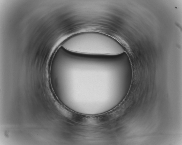 X0000096710792200802051036