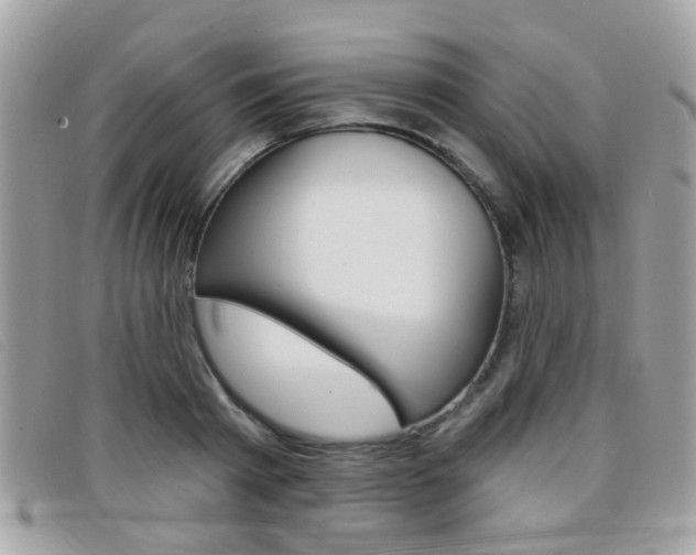 X0000096710793200802051036