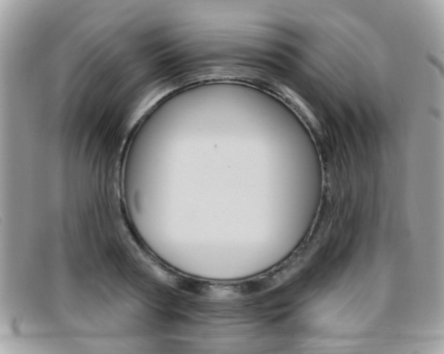 X0000096710794200802051036