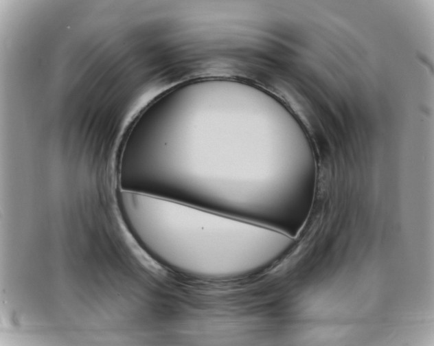 X0000096710795200802051036