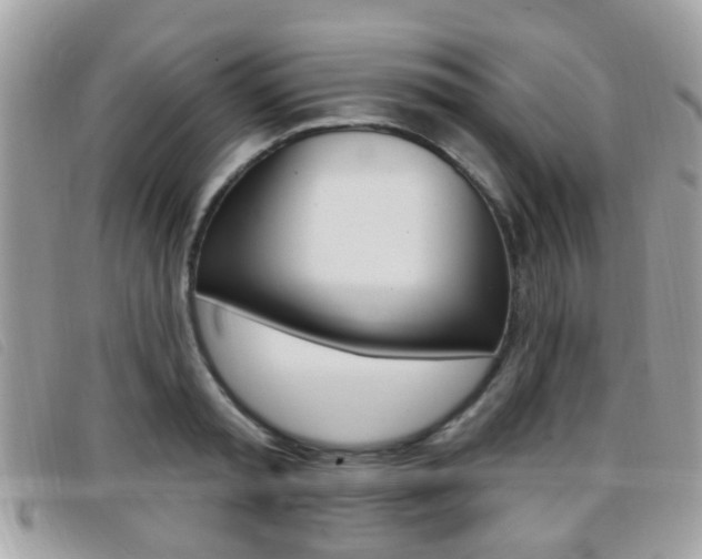 X0000096710797200802051036