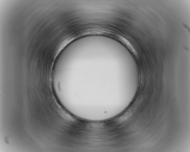 X0000096710802200802051036