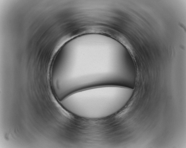X0000096710803200802051036