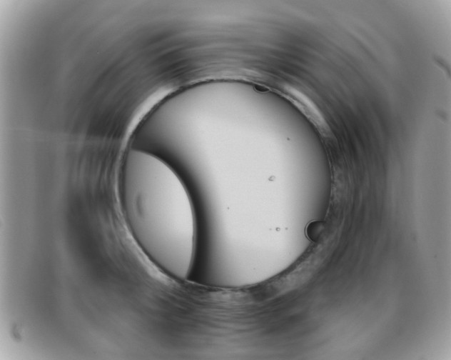 X0000096710804200802051036