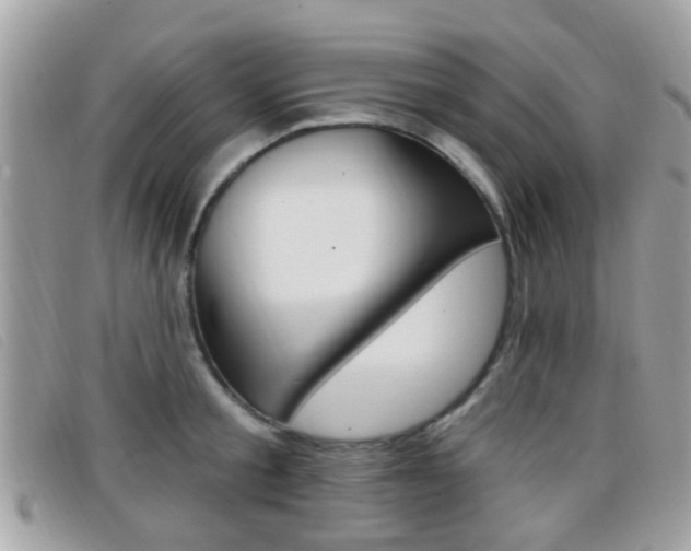X0000096710805200802051036