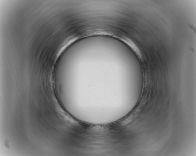 X0000096710806200802051036