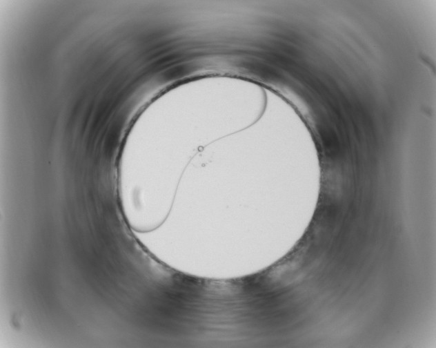 X0000096710807200802051036