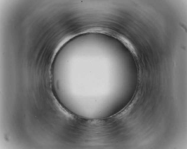 X0000096710808200802051036