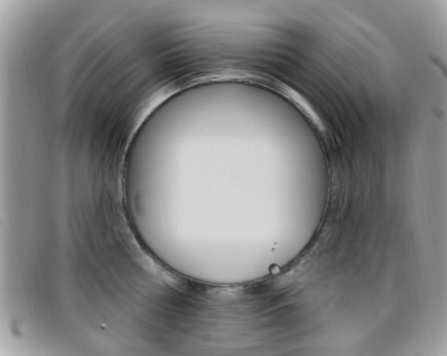 X0000096710810200802051036