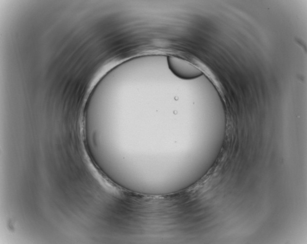 X0000096710811200802051036