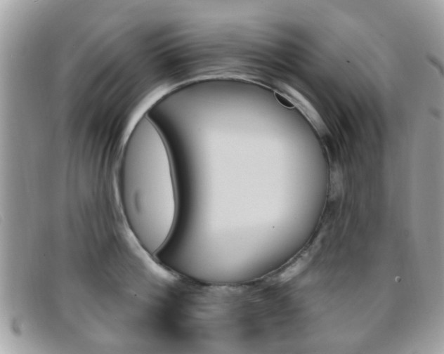 X0000096710812200802051036
