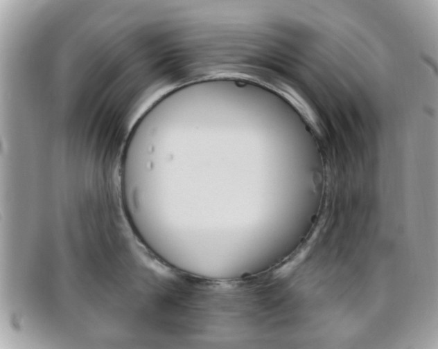 X0000096710814200802051036