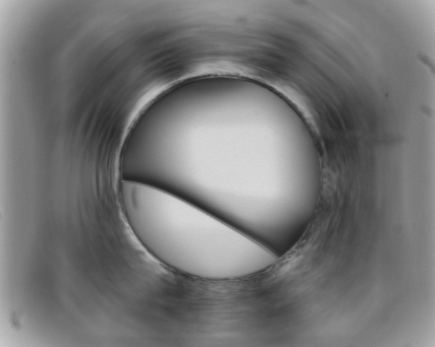 X0000096710815200802051036