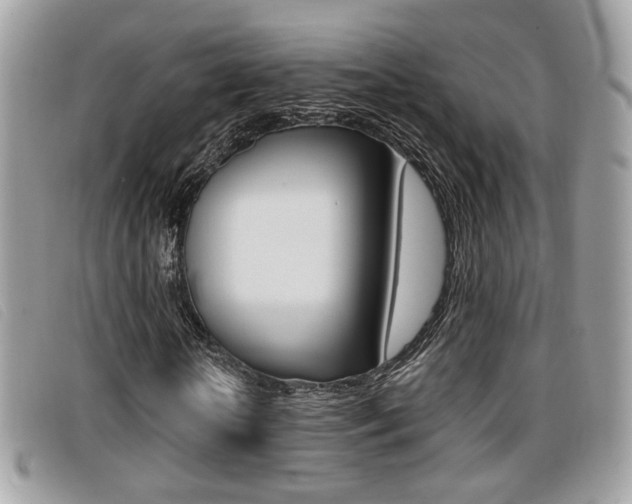 X0000096710818200802051035
