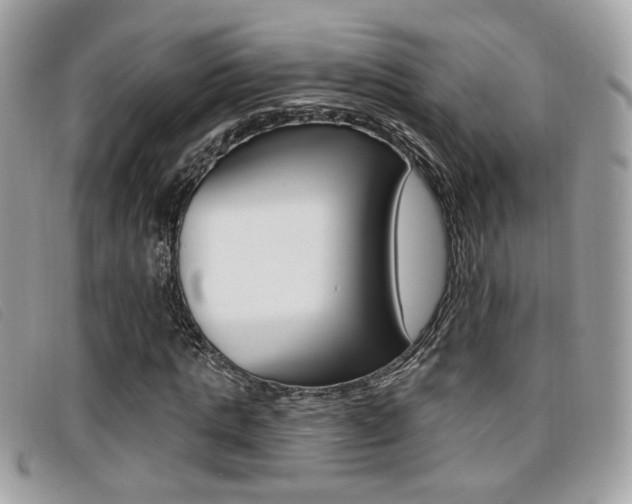 X0000096710821200802051035