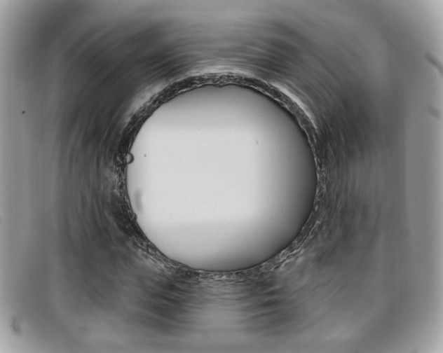 X0000096710823200802051035