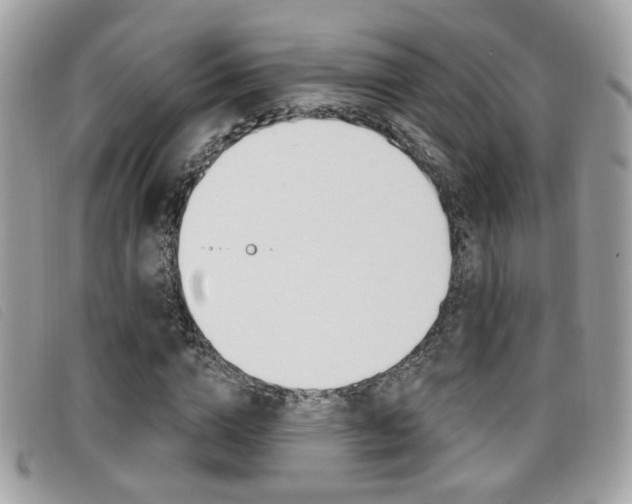 X0000096710824200802051035