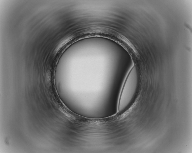 X0000096710826200802051035