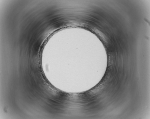 X0000096710828200802051035