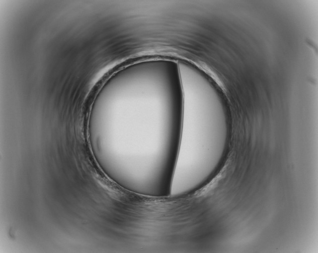 X0000096710830200802051035