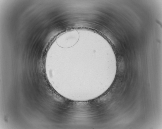 X0000096710832200802051035