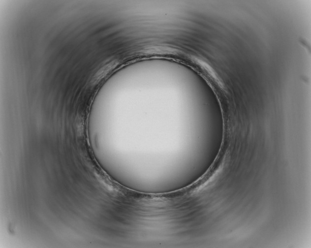 X0000096710833200802051035