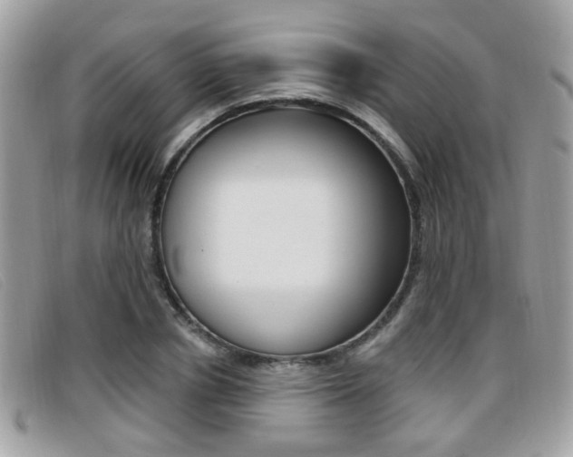 X0000096710834200802051035