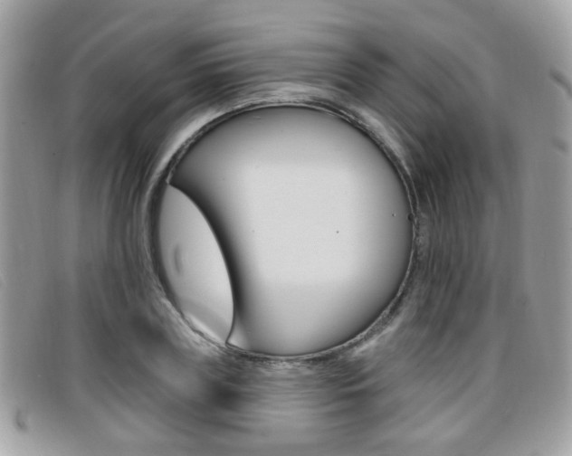 X0000096710835200802051035