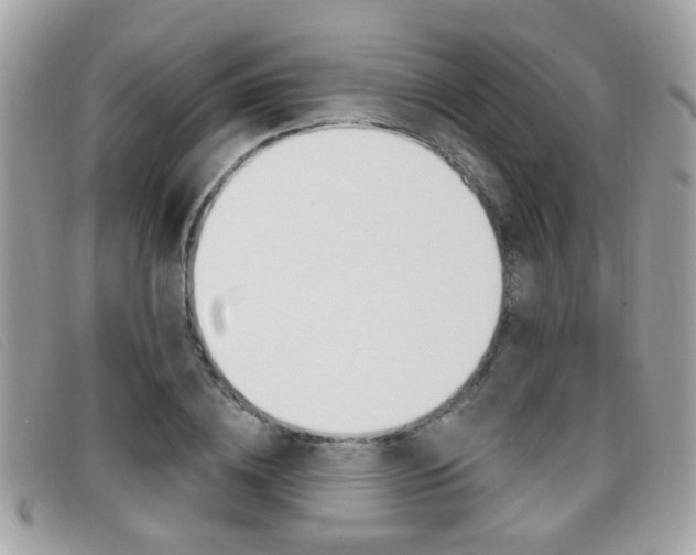 X0000096710836200802051035
