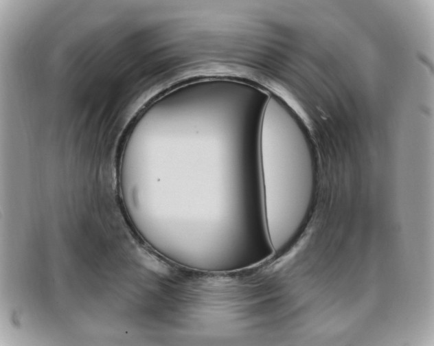 X0000096710837200802051035