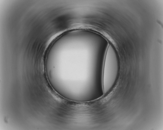 X0000096710838200802051035