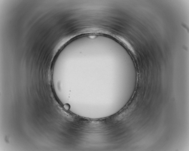 X0000096710839200802051035