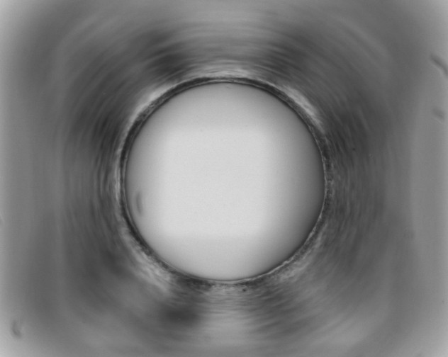 X0000096710840200802051035