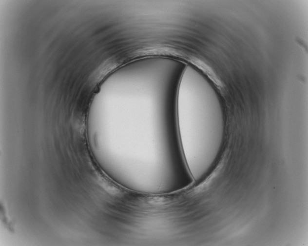 X0000096710841200802051036