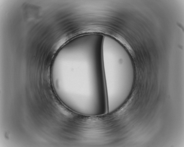 X0000096710842200802051036